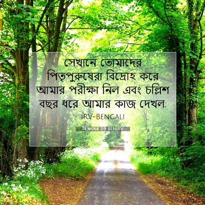 Picture 07 - হিব্রুদের 3:9 BENIRV - সেখানে তোমাদের - Bible Verse Picture