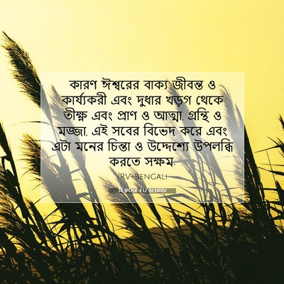 Picture 07 - হিব্রুদের 4:12 BENIRV - কারণ ঈশ্বরের - Bible Verse Picture