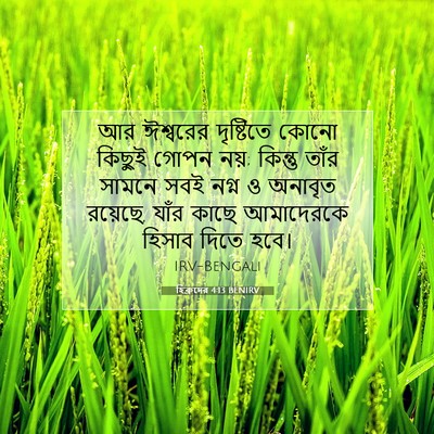 Picture 07 - হিব্রুদের 4:13 BENIRV - আর ঈশ্বরের - Bible Verse Picture