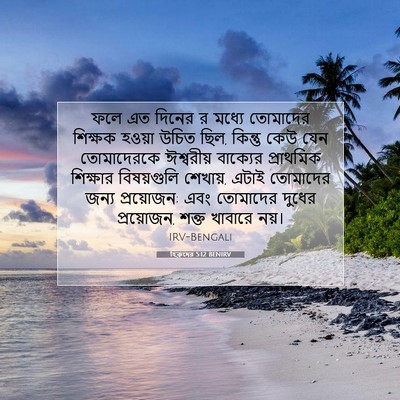 Picture 07 - হিব্রুদের 5:12 BENIRV - ফলে এত দিনের র - Bible Verse Picture