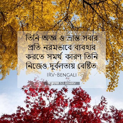 Picture 07 - হিব্রুদের 5:2 BENIRV - তিনি অজ্ঞ ও - Bible Verse Picture