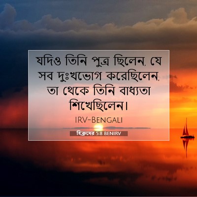 Picture 07 - হিব্রুদের 5:8 BENIRV - যদিও তিনি পুত্র - Bible Verse Picture
