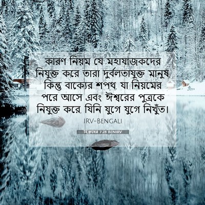 Picture 07 - হিব্রুদের 7:28 BENIRV - কারণ নিয়ম যে - Bible Verse Picture