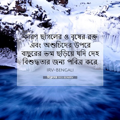 Picture 07 - হিব্রুদের 9:13 BENIRV - কারণ ছাগলের ও - Bible Verse Picture