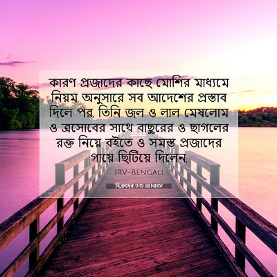 Picture 07 - হিব্রুদের 9:19 BENIRV - কারণ প্রজাদের - Bible Verse Picture