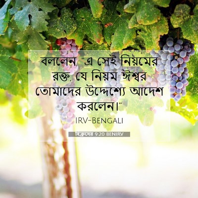 Picture 07 - হিব্রুদের 9:20 BENIRV - বললেন, “এ সেই - Bible Verse Picture