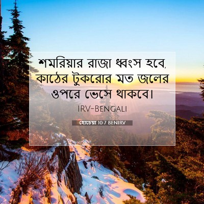 Picture 07 - হোচেয়া 10:7 BENIRV - শমরিয়ার রাজা - Bible Verse Picture