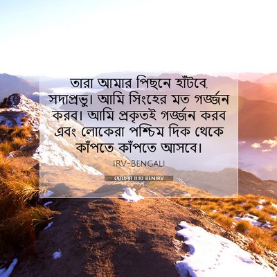 Picture 07 - হোচেয়া 11:10 BENIRV - তারা আমার পিছনে - Bible Verse Picture