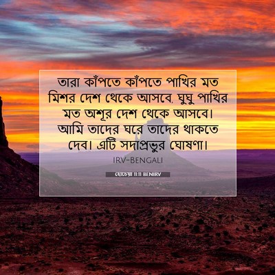 Picture 07 - হোচেয়া 11:11 BENIRV - তারা কাঁপতে - Bible Verse Picture