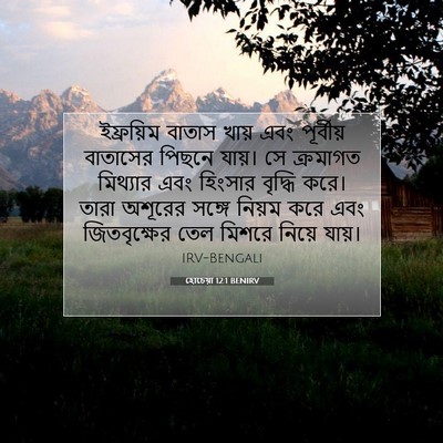 Picture 07 - হোচেয়া 12:1 BENIRV - ইফ্রয়িম বাতাস - Bible Verse Picture