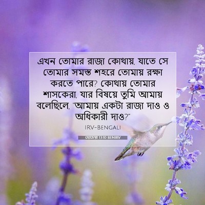 Picture 07 - হোচেয়া 13:10 BENIRV - এখন তোমার রাজা - Bible Verse Picture