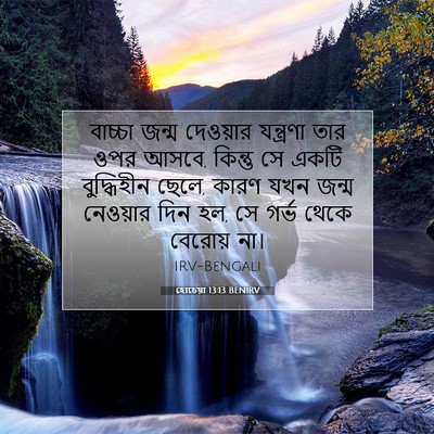 Picture 07 - হোচেয়া 13:13 BENIRV - বাচ্চা জন্ম - Bible Verse Picture