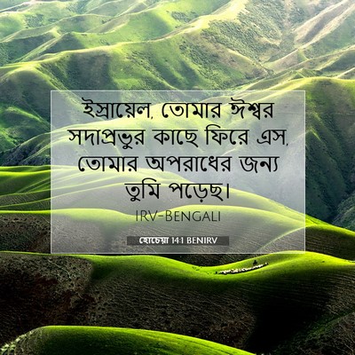 Picture 07 - হোচেয়া 14:1 BENIRV - ইস্রায়েল, তোমার - Bible Verse Picture