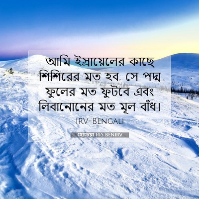 Picture 07 - হোচেয়া 14:5 BENIRV - আমি ইস্রায়েলের - Bible Verse Picture