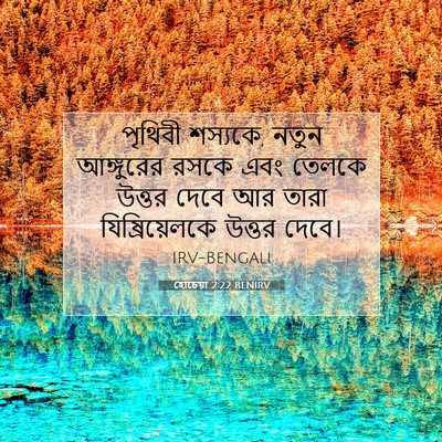 Picture 07 - হোচেয়া 2:22 BENIRV - পৃথিবী শস্যকে, - Bible Verse Picture