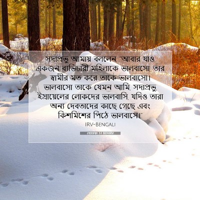 Picture 07 - হোচেয়া 3:1 BENIRV - সদাপ্রভু আমায় - Bible Verse Picture