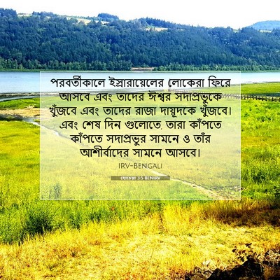 Picture 07 - হোচেয়া 3:5 BENIRV - পরবর্তীকালে - Bible Verse Picture