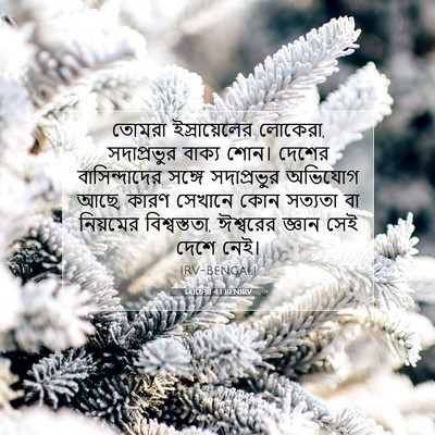 Picture 07 - হোচেয়া 4:1 BENIRV - তোমরা ইস্রায়েলের - Bible Verse Picture