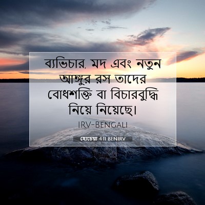 Picture 07 - হোচেয়া 4:11 BENIRV - ব্যভিচার, মদ এবং - Bible Verse Picture