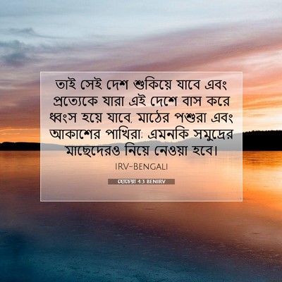 Picture 07 - হোচেয়া 4:3 BENIRV - তাই সেই দেশ - Bible Verse Picture
