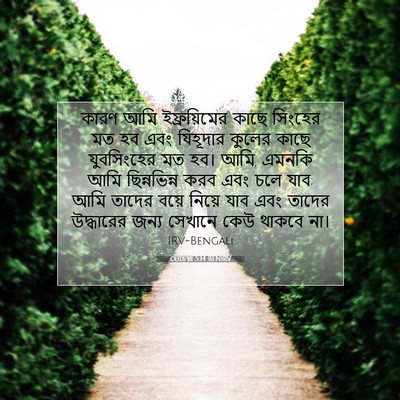 Picture 07 - হোচেয়া 5:14 BENIRV - কারণ আমি - Bible Verse Picture