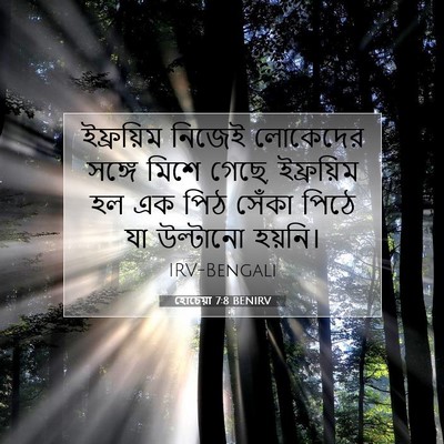 Picture 07 - হোচেয়া 7:8 BENIRV - ইফ্রয়িম নিজেই - Bible Verse Picture