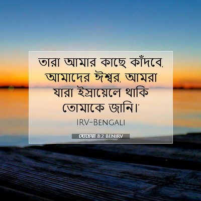 Picture 07 - হোচেয়া 8:2 BENIRV - তারা আমার কাছে - Bible Verse Picture