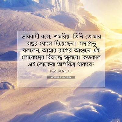 Picture 07 - হোচেয়া 8:5 BENIRV - ভাববাদী বলে, - Bible Verse Picture