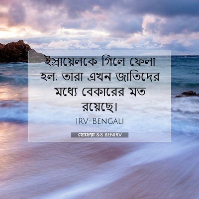 Picture 07 - হোচেয়া 8:8 BENIRV - ইস্রায়েলকে গিলে - Bible Verse Picture