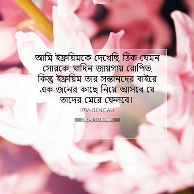 Picture 07 - হোচেয়া 9:13 BENIRV - আমি ইফ্রয়িমকে - Bible Verse Picture