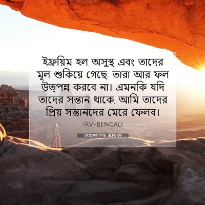 Picture 07 - হোচেয়া 9:16 BENIRV - ইফ্রয়িম হল - Bible Verse Picture