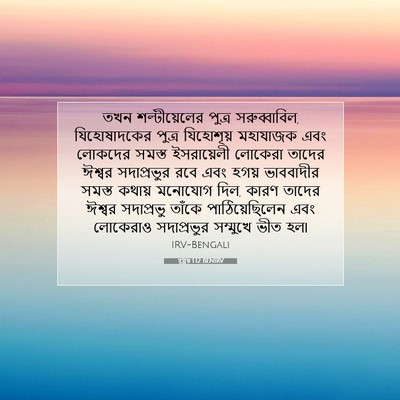 Picture 07 - হ্গ্গয় 1:12 BENIRV - তখন শল্টীয়েলের - Bible Verse Picture