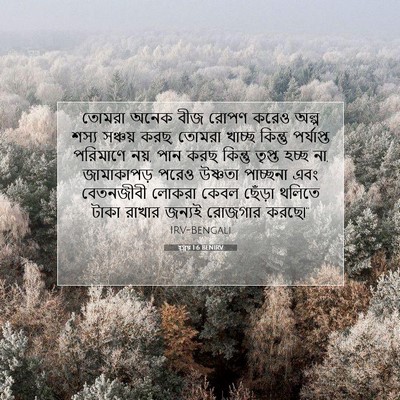 Picture 07 - হ্গ্গয় 1:6 BENIRV - তোমরা অনেক বীজ - Bible Verse Picture