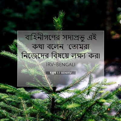 Picture 07 - হ্গ্গয় 1:7 BENIRV - বাহিনীগণের - Bible Verse Picture