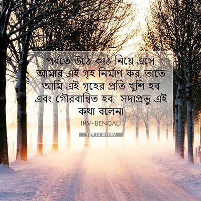 Picture 07 - হ্গ্গয় 1:8 BENIRV - পর্বতে উঠে কাঠ - Bible Verse Picture