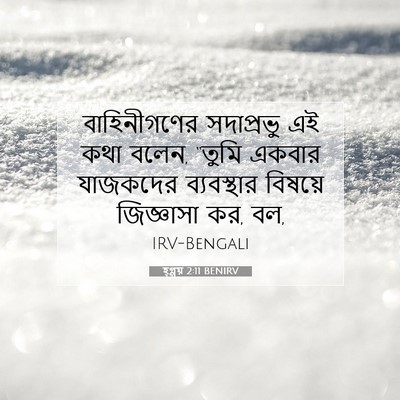Picture 07 - হ্গ্গয় 2:11 BENIRV - বাহিনীগণের - Bible Verse Picture