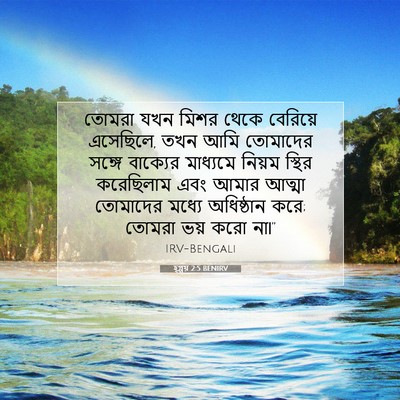 Picture 07 - হ্গ্গয় 2:5 BENIRV - তোমরা যখন মিশর - Bible Verse Picture