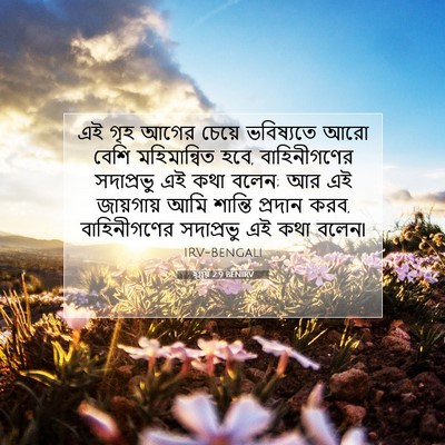 Picture 07 - হ্গ্গয় 2:9 BENIRV - এই গৃহ আগের চেয়ে - Bible Verse Picture