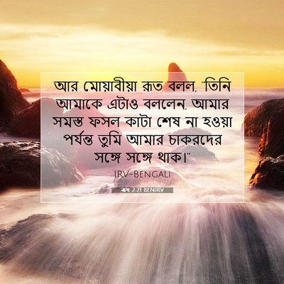 Picture 07 - ৰূথ 2:21 BENIRV - আর মোয়াবীয়া রূত - Bible Verse Picture