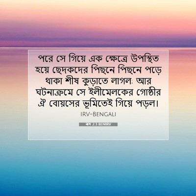 Picture 07 - ৰূথ 2:3 BENIRV - পরে সে গিয়ে এক - Bible Verse Picture