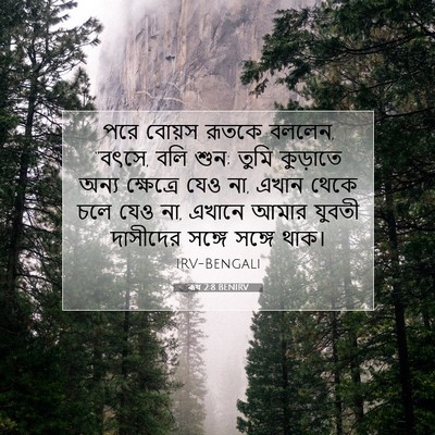 Picture 07 - ৰূথ 2:8 BENIRV - পরে বোয়স রূতকে - Bible Verse Picture
