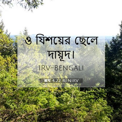 Picture 07 - ৰূথ 4:22 BENIRV - ও যিশয়ের ছেলে - Bible Verse Picture