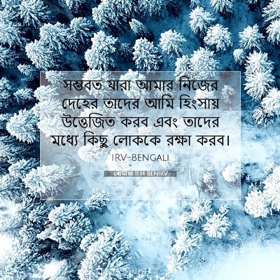 Picture 07 - ৰোমীয়া 11:14 BENIRV - সম্ভবত যারা আমার - Bible Verse Picture