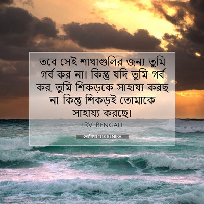 Picture 07 - ৰোমীয়া 11:18 BENIRV - তবে সেই শাখাগুলির - Bible Verse Picture