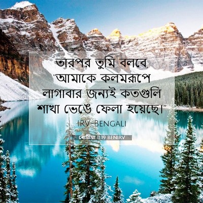 Picture 07 - ৰোমীয়া 11:19 BENIRV - তারপর তুমি বলবে, - Bible Verse Picture