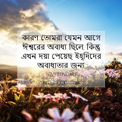 Picture 07 - ৰোমীয়া 11:30 BENIRV - কারণ তোমরা যেমন - Bible Verse Picture