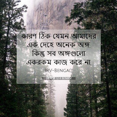 Picture 07 - ৰোমীয়া 12:4 BENIRV - কারণ ঠিক যেমন - Bible Verse Picture