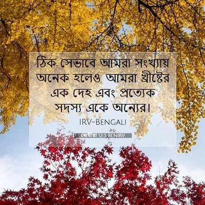 Picture 07 - ৰোমীয়া 12:5 BENIRV - ঠিক সেভাবে আমরা - Bible Verse Picture