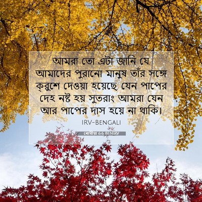 Picture 07 - ৰোমীয়া 6:6 BENIRV - আমরা তো এটা জানি - Bible Verse Picture