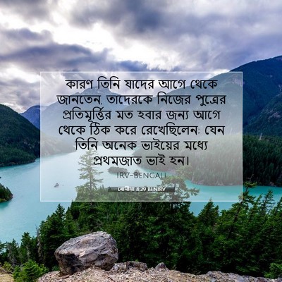 Picture 07 - ৰোমীয়া 8:29 BENIRV - কারণ তিনি যাদের - Bible Verse Picture